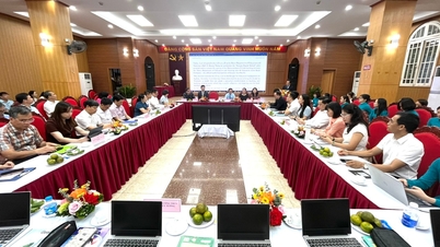 ទីក្រុងហាណូយចម្លងគំរូ "សាលាឌីជីថល Google"