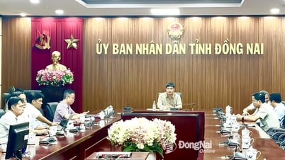 Sẽ truyền hình trực tiếp Lễ khởi công Nhà máy thủy điện Trị An mở rộng