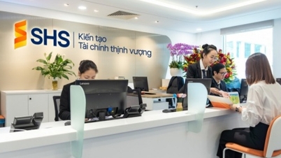 SHS, 부채 구조조정 위해 5,500억 VND 규모 채권 발행