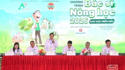 Chương trình “Bác sĩ nông học” tại xã Mai Sơn