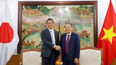 Bộ trưởng Nguyễn Văn Hùng tiếp Đại sứ Nhật Bản tại Việt Nam Ito Naoki
