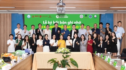 Nhà Thuốc An Khang Chung Tay Đào Tạo Và Mở Rộng Cơ Hội Việc Làm Cho Sinh Viên Dược Toàn Quốc