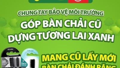Bach Hoa Xanh x Colgate: เรียกคืนแปรงสีฟันเก่าปี 2025