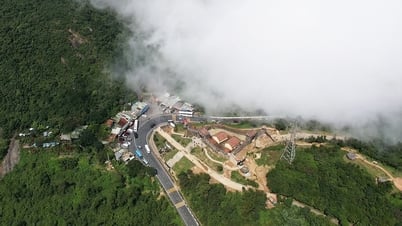 Đà Nẵng có tour tham quan nhà máy bia, ôtô Thaco Chu Lai, công bố đường dây nóng du lịch