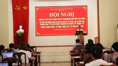 Sở Y tế công bố các quyết định của UBND tỉnh về sắp xếp tổ chức bộ máy