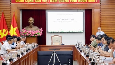 ការផ្លាស់ប្តូរឌីជីថលក្នុងវិស័យវប្បធម៌៖ ការអភិវឌ្ឍវប្បធម៌ជាវិស័យសេដ្ឋកិច្ចក្នុងយុគសម័យឌីជីថលតាមរយៈឧស្សាហកម្មវប្បធម៌