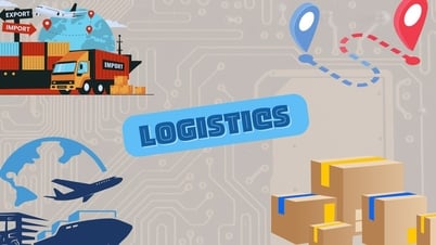 Nhân sự logistics Việt Nam: Giỏi nghiệp vụ nhưng yếu tiếng Anh