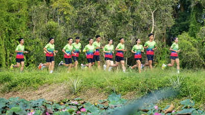12.000 vận động viên tham gia VPBank Đất Sen Hồng Music Marathon 2025