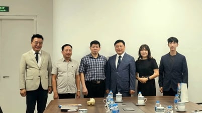 Giáo dục Hải Phòng tăng cường hoạt động hợp tác quốc tế