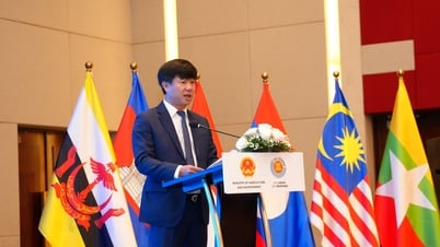 Disaster management action: Vietnam supports “one ASEAN, one response” initiative