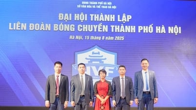 Bà Trần Thùy Chi làm tân Chủ tịch Liên đoàn bóng chuyền Hà Nội khóa I