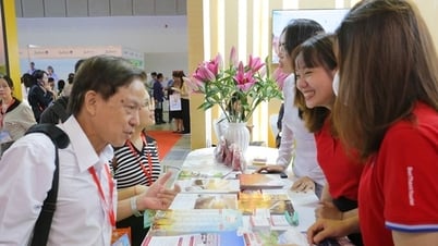 ITE HCMC 2025: Kết nối chiến lược giữa Việt Nam và thị trường du lịch toàn cầu