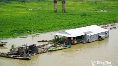 Năng lượng xanh trên làng bè La Ngà