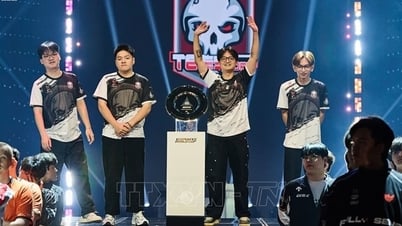 Thể thao điện tử Việt Nam tạo dấu ấn tại sân chơi quốc tế