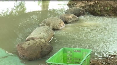 Kiểm tra, xác minh tình trạng lấn chiếm kênh thoát lũ vùng hạ lưu tỉnh Lâm Đồng
