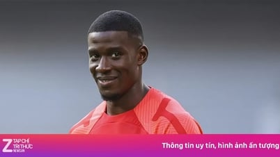Sunderland có tân binh thứ 12