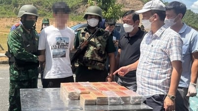 Lực lượng biên phòng bắt giữ 2 đối tượng vận chuyển gần 300 kg ma túy