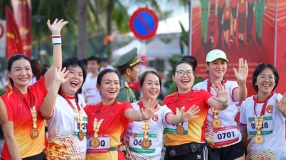 Hơn 31.600 người dân Đà Nẵng hưởng ứng chương trình đi bộ “Cùng Việt Nam tiến bước”