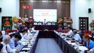 Phó Thủ tướng Lê Thành Long: Hội đồng Hòa bình và Phát triển Việt Nam là tổ chức quan trọng trong đối ngoại nhân dân