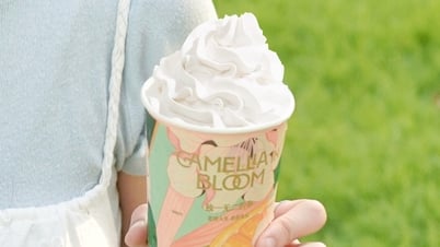 Hoa Sơn Trà Camellia - Bộ đôi ba tầng hương từ trà sữa Shuyi
