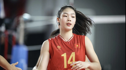ベトナムU21女子バレーボール代表、世界大会で19位に