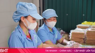 Bảo vệ thương hiệu đặc sản Hà Tĩnh trước nguy cơ bị mao danh