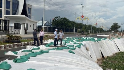 UBND tỉnh Đồng Tháp chỉ đạo khẩn trương ứng phó sạt lở kè Thường Thới Tiền