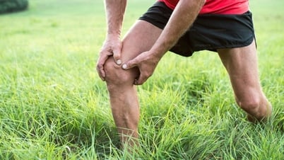 Ăn gì để tránh cơn đau dữ dội do gout cấp?
