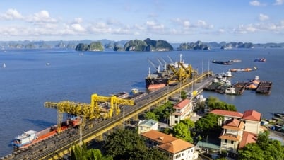 Truyền thống “Kỷ luật và Đồng tâm” - Cốt lõi của thành công