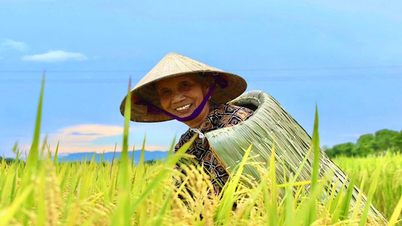 Áo tơi Yên Lạc: Giữ hồn làng trong từng mũi chằm