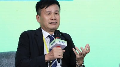 Giải pháp kết nối doanh nghiệp DDI và FDI ở Hải Phòng