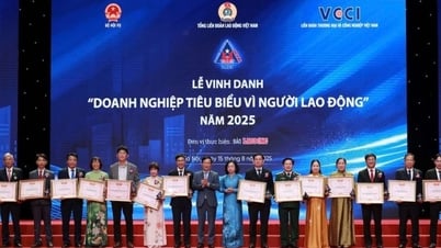 Đà Nẵng có 4 doanh nghiệp được vinh danh ‘Doanh nghiệp tiêu biểu vì người lao động’