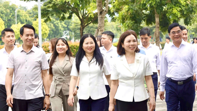 Phó Chủ tịch UBND tỉnh Vũ Thị Hiền Hạnh khảo sát một số trường học tại phường Lào Cai, Cam Đường