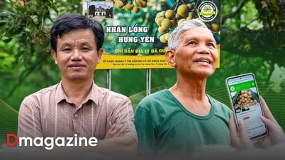 30 năm “giữ gen, định danh điện tử” đưa quả tiến vua vươn ra thế giới