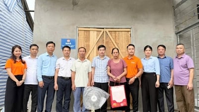 Sức bật từ đồng thuận xã hội