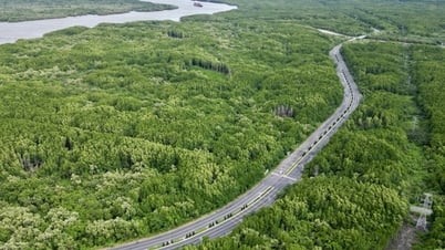 Bổ sung quy định về tạm sử dụng rừng để thi công các dự án cấp thiết