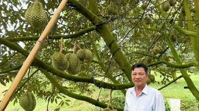 “Cầu nối” nghĩa tình ở Bảo Lâm 3