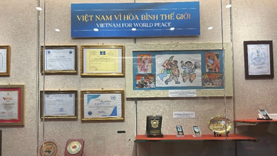Tôn vinh dấu ấn Chủ tịch Hồ Chí Minh, Đại tướng Nguyễn Chí Thanh trong “hành trình hòa bình”