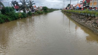 Phòng chống ngập úng cho hơn 10.000 ha lúa, hoa màu