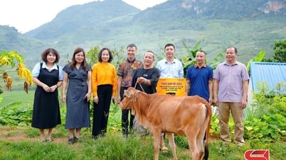 Trao tặng sinh kế hỗ trợ 37 hộ nghèo tại phường Mộc Châu