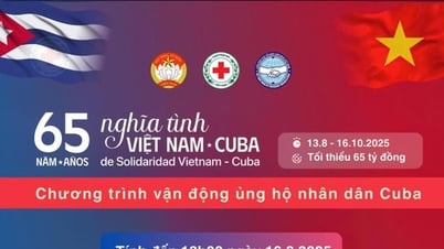 Thu hơn 270 tỷ đồng, với gần 1,375 triệu lượt ủng hộ nhân dân Cuba