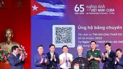 Gần 250 tỷ đồng ủng hộ nhân dân Cuba
