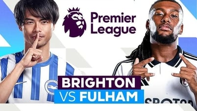 Nhận định trận đấu Brighton vs Fulham, 21h00 ngày 16.8: Kẻ khát chiến thắng, người ôm ký ức đẹp