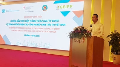 Đà Nẵng cam kết triển khai thành công mô hình khu công nghiệp sinh thái