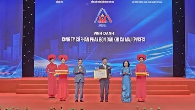 PVCFC lần thứ 5 được vinh danh Doanh nghiệp tiêu biểu vì người lao động