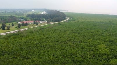 ASEAN vinh danh Hải Phòng là thành phố tiềm năng về môi trường