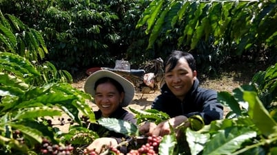Phát triển bền vững vùng đồng bào DTTS và miền núi