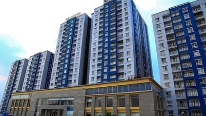 Năm Bảy Bảy (NBB) thoái vốn công ty khai thác đá tại Quảng Ngãi