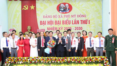 Phù Mỹ Đông phấn đấu thành xã kinh tế trọng điểm