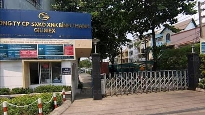 Gilimex (GIL) bị nhắc nhở vì chậm nộp báo cáo tài chính quý II